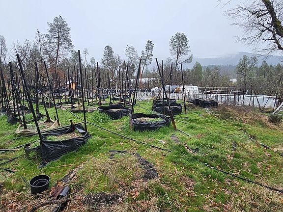 4th image of 341 Buck Ln