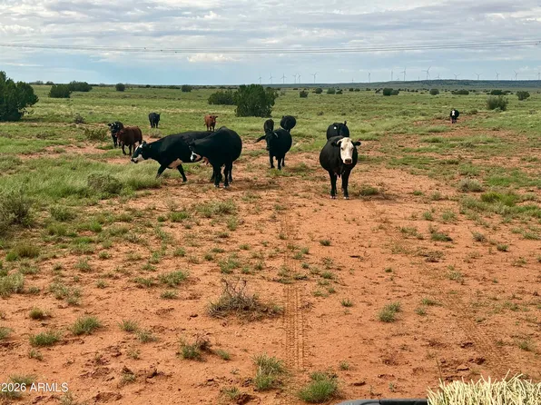 100 S Duck Lake Road #-, Heber, AZ 85928