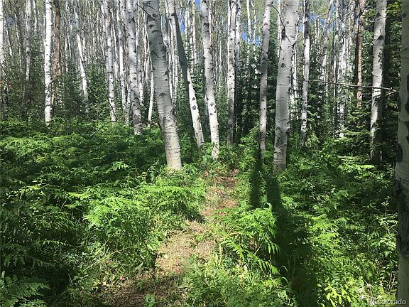 2nd image of 28100 Grouse Creek Park Rd #B