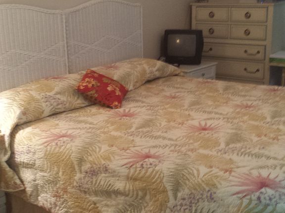 Master bedroom king size bed