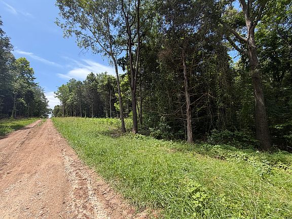 2nd image of 000 County Road 318 Lot 4