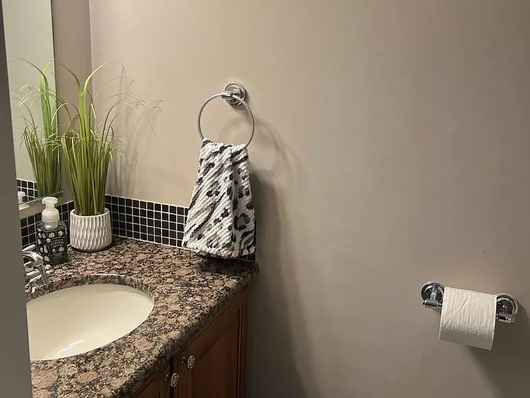 106 Spring Ridge Ct — Photo 14