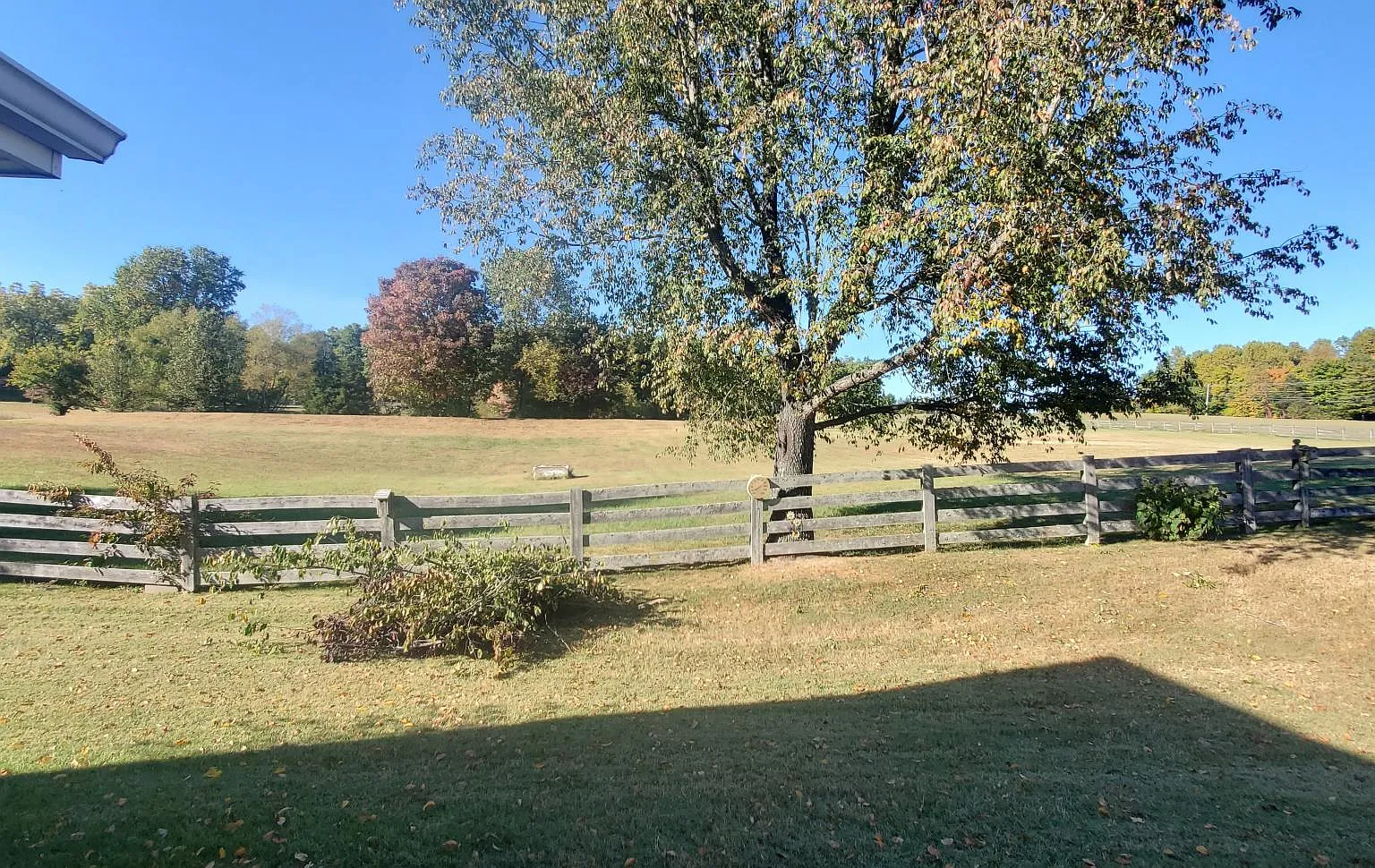 3 bed, 1219 sqft, $1,875 — Photo 4