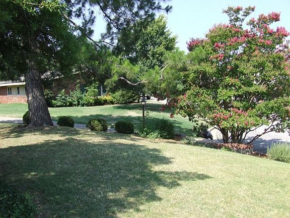 Fantastic pine, crepe myrtle &amp; lacebark elm trees