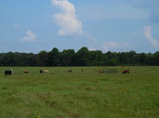 623 County Road 161, Long Branch, TX 75669