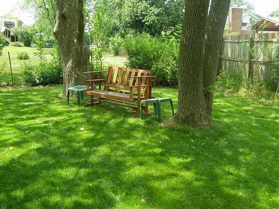 Swing in back yard