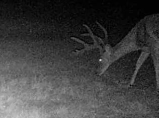 5860 County Road 423, Cisco, TX 76437