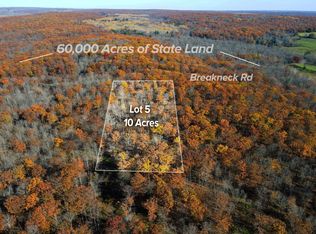 LOT 5 Breakneck Rd, Birchwood, WI 54817