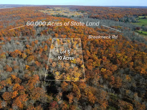 LOT 5 Breakneck Rd, Birchwood, WI 54817