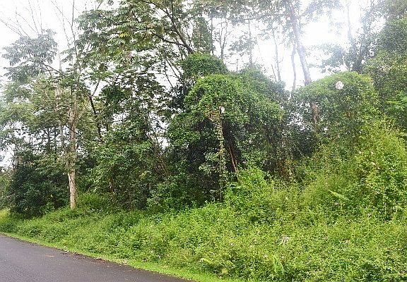 4th image of Makamae St Lot 16