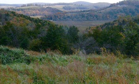 1st image of 189A County Road 864b