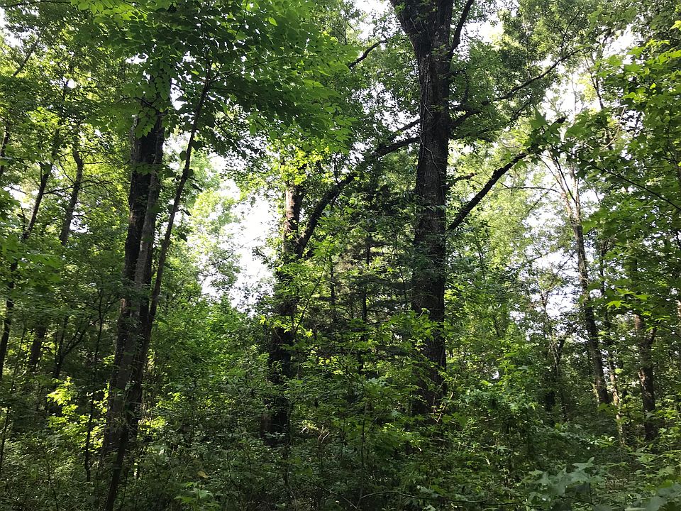 45 Old River Rd, Petal, MS 39465 Zillow