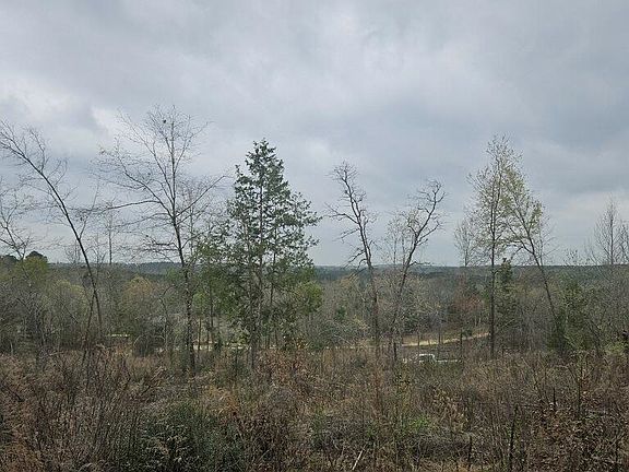 4th image of 548 Private Road 4615