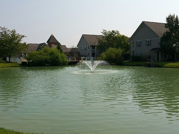 Fish in one of our two ponds on the property