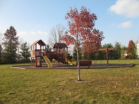 Neighborhool Park