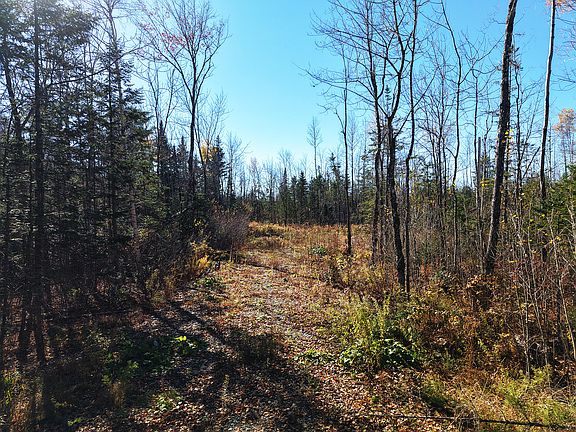 3rd image of 301  Estabrook Road