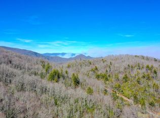 671 Fairview Ln, Topton, NC 28781