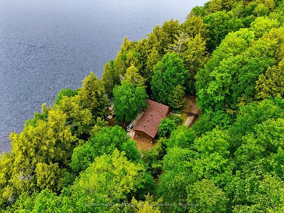4th image of 1093 Corylus Ln