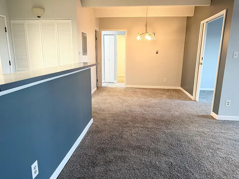 1011 S Ironton St #403 — Photo 11