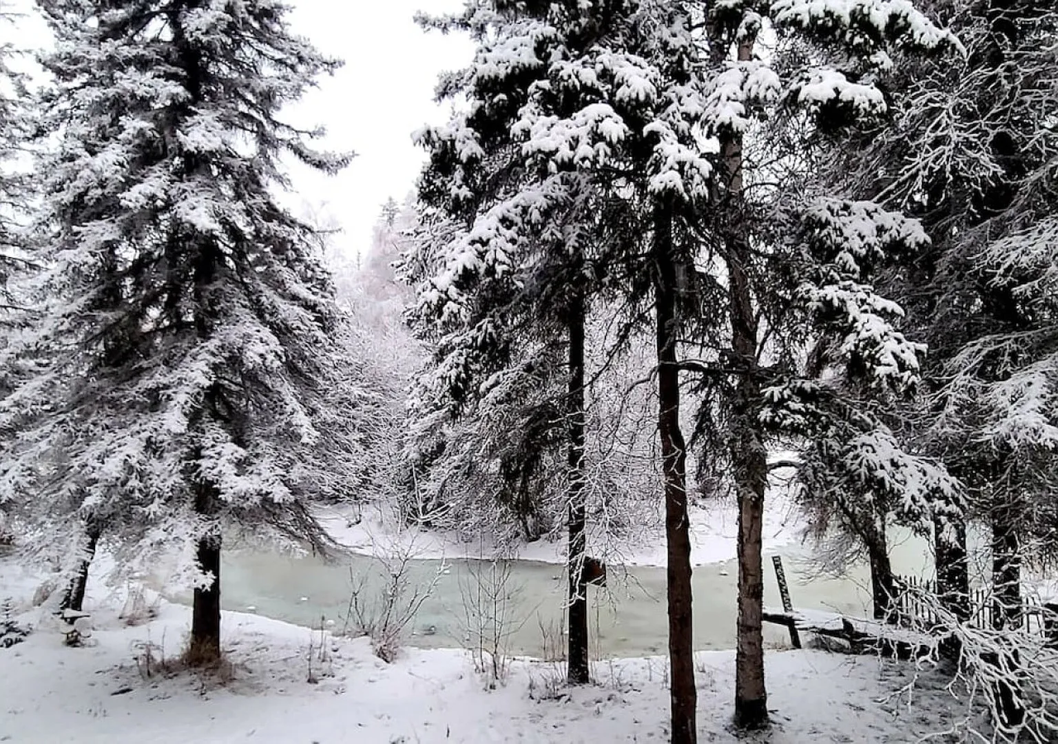 Central ANC Creekside Retreat: Direct Trail Access (10 minutes from — Photo 1