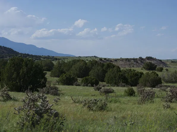 LOT 493 Rio Cucharas, Walsenburg, CO 81089