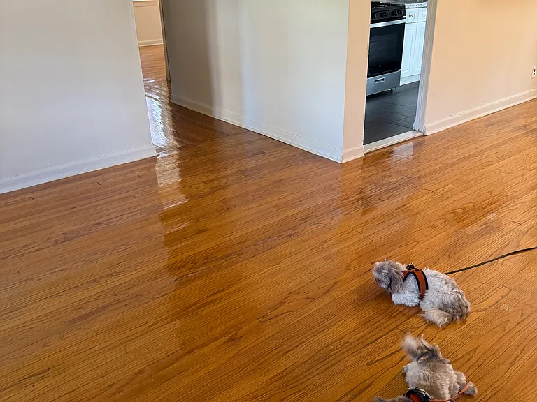 30 Marion Ave #31 — Photo 2