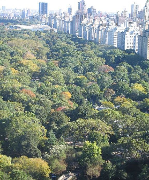 Central Park