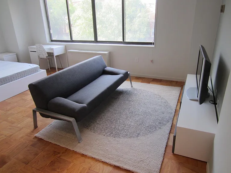 Sofa bed for extra guests and area rug