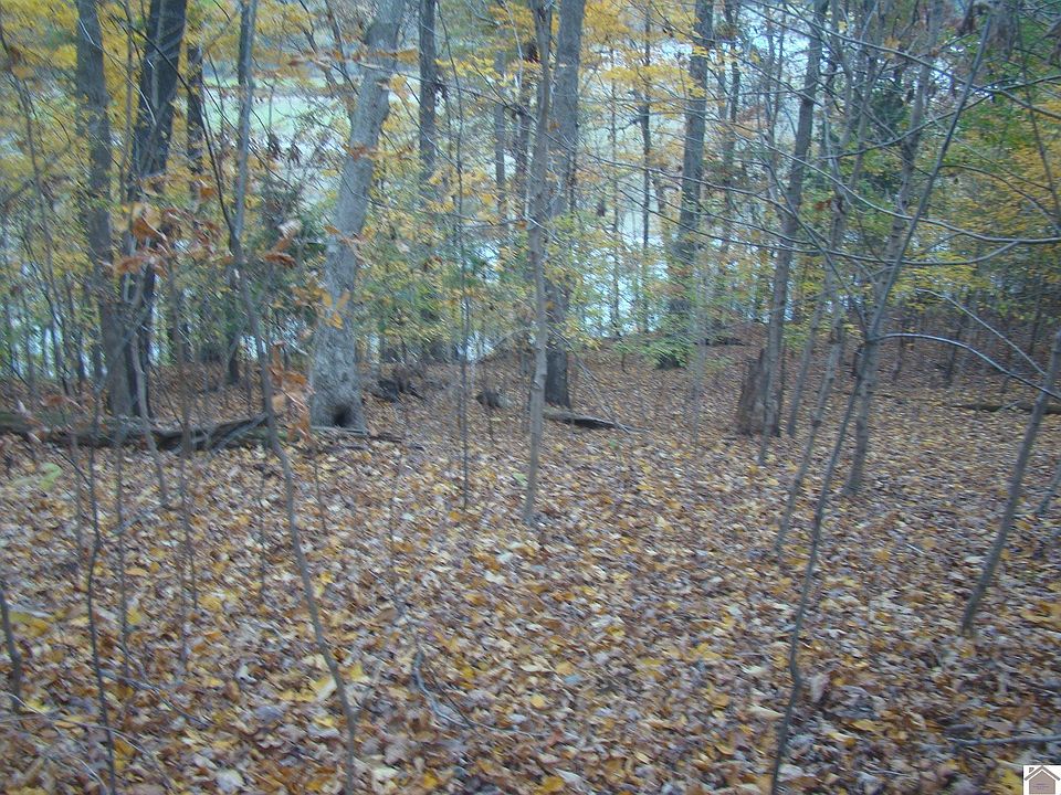 2nd image of 10 Shiloh Ln