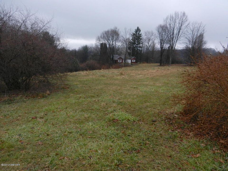 View Looking South
