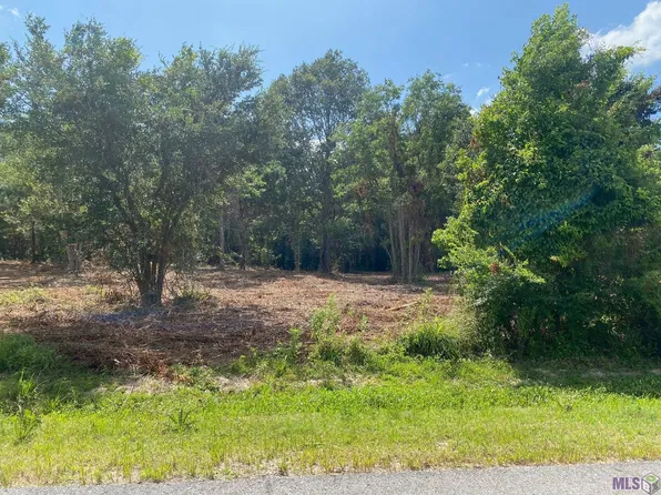 18377 Amite Acres Dr, Prairieville, LA 70769