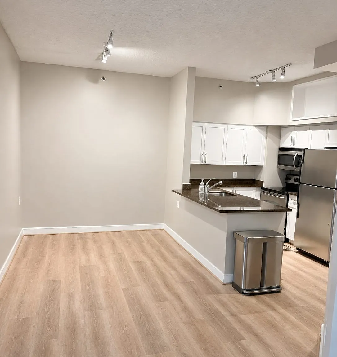 2 bed, 1141 sqft, $3,100 — Photo 4