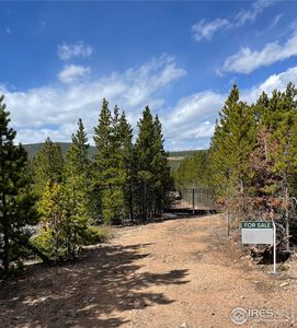 0 Forest Service 169 Rd, Red Feather Lakes, CO, 80545