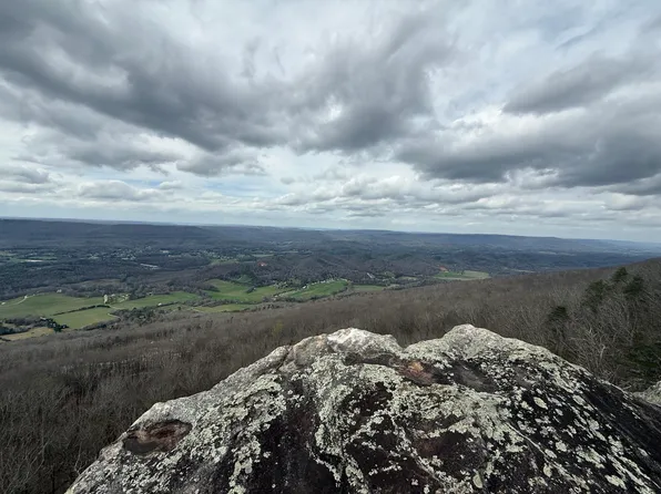 17 Scenic Hwy, Rising Fawn, GA 30738