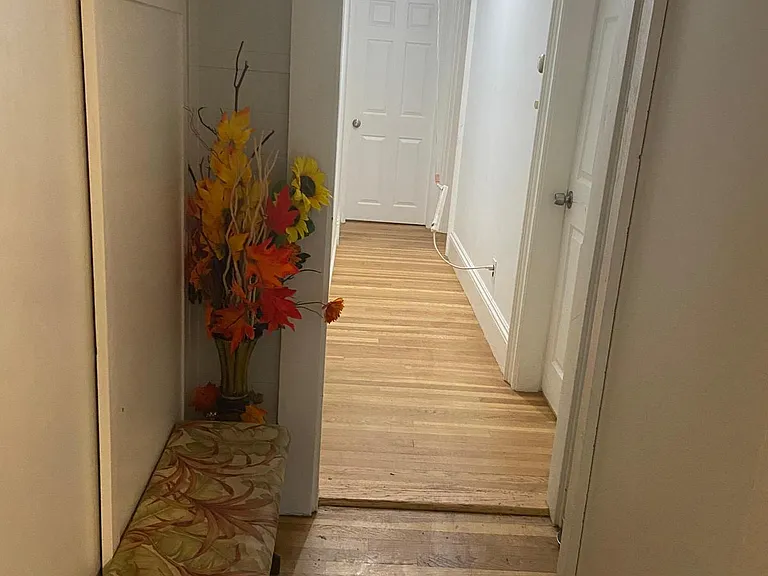 Chestnut St — Photo 12