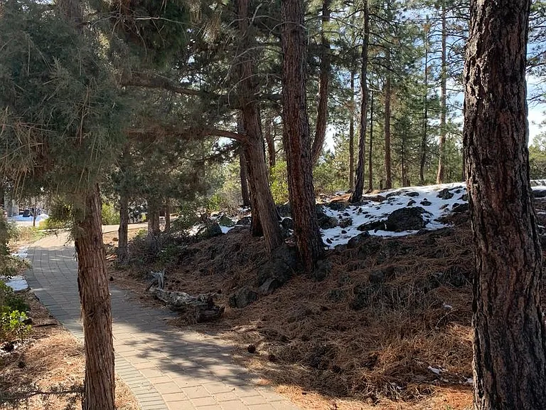 61166 Snowbrush Dr — Photo 18