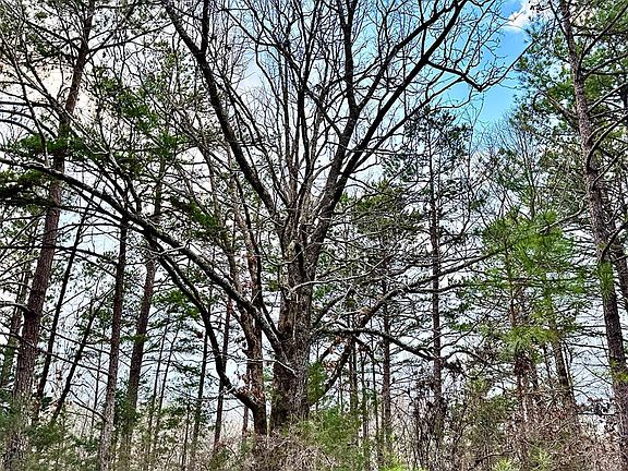 2nd image of 2447 Hardaway Church Rd