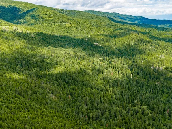Nhn Peach Park Loop, Rollins, MT 59931
