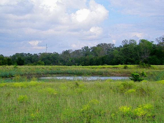2 ponds