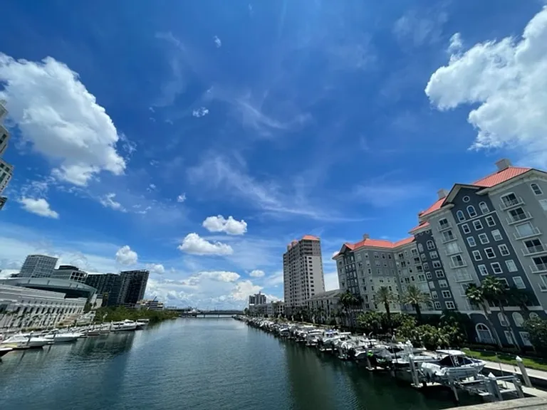 700 S Harbour Island Blvd #512 — Photo 32