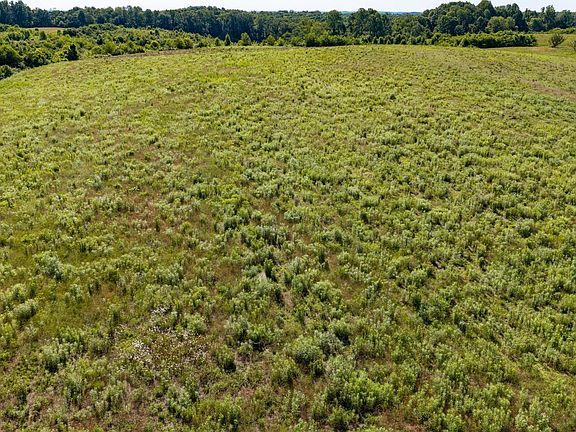 4th image of 37988 Buck Run Rd