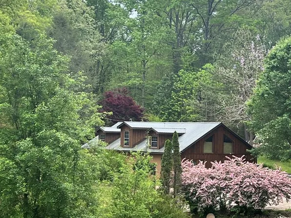 1200 Tennis Court Rd, Blue Ridge, GA 30513