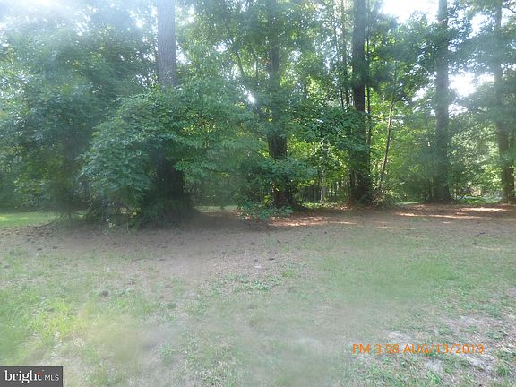 4th image of 81 Cabin Point Dr