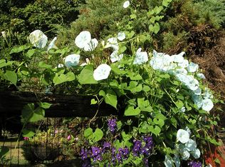 15880 Meadow Walk Rd, Woodbine, MD 21797