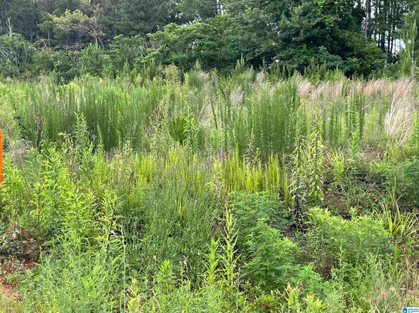 0 Grist Mill Rd #0, Childersburg, AL 35044