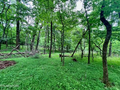 Cave Creek Preserve LOT 7, Kingston, TN, 37763