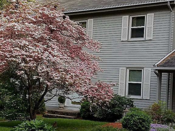 2nd image of 47 Louise Luther Dr