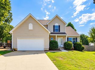 316 Turkey Beard Ct, Chapin, SC 29036