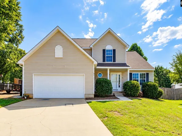 316 Turkey Beard Ct, Chapin, SC 29036