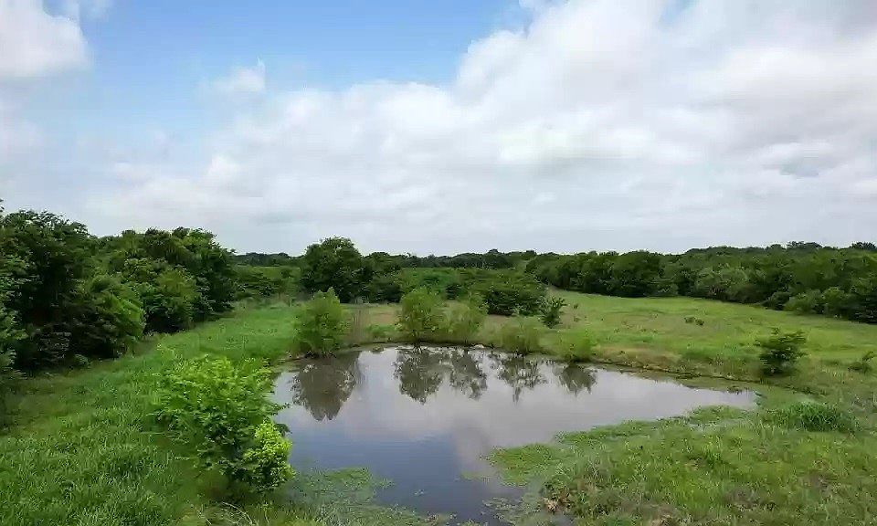 1st image of Tolosa Rd